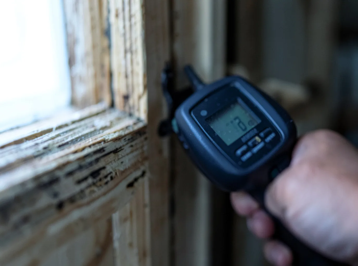Moisture Inspection And Documentation in South Prairie, WA